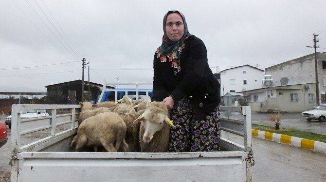 Devlet Desteği İle İş Kadını Oldu