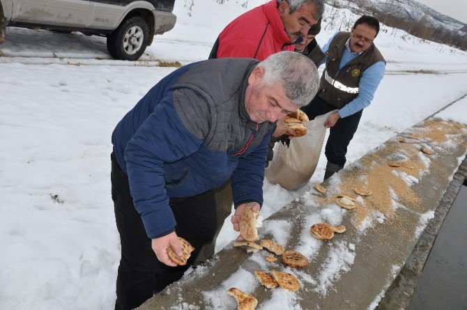 Bilecik’te Yaban Hayvanlar İçin Doğaya Yem Bırakıldı