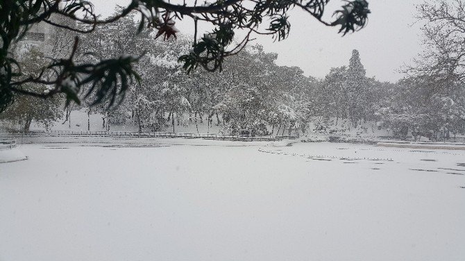 Yıldız Parkı’nda Gölet Buz Tuttu