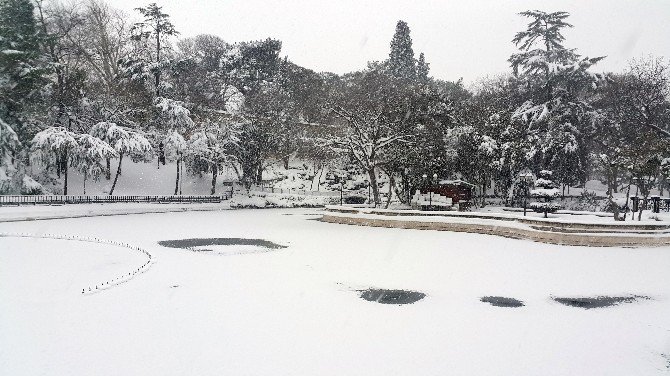 Yıldız Parkı’nda Gölet Buz Tuttu