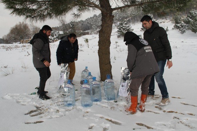 Kartal Belediyesi Sokak Hayvanlarının Yanında