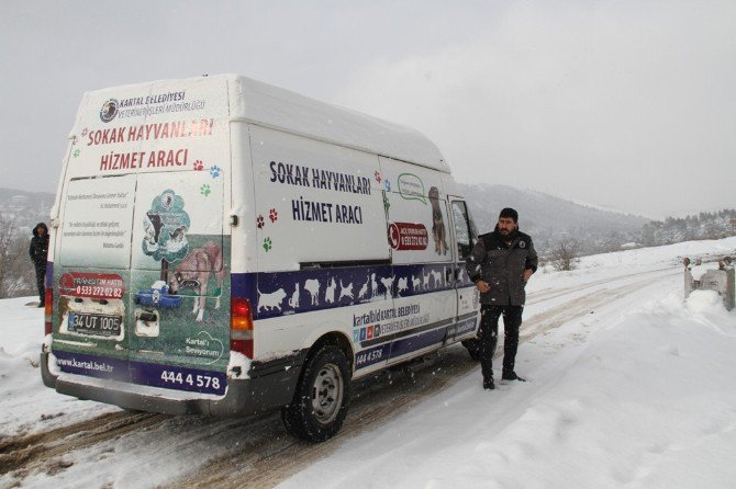 Kartal Belediyesi Sokak Hayvanlarının Yanında