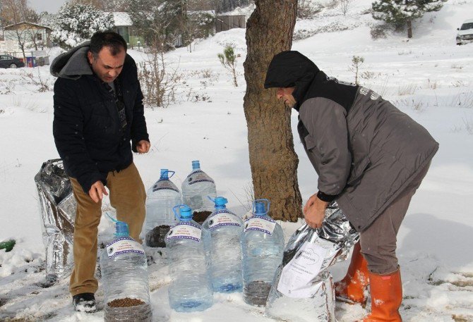 Kartal Belediyesi Sokak Hayvanlarının Yanında