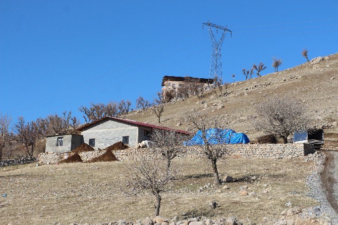 Ev Bulamayan Şırnaklı Aile Ahıra Yerleşti