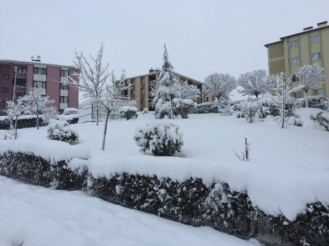 Sakarya’da Kar Kalınlığı 25 Santimetreye Ulaştı