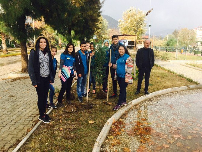 Öğrenciler Çam Ağaçlarına Kendi İsimlerini Verdi