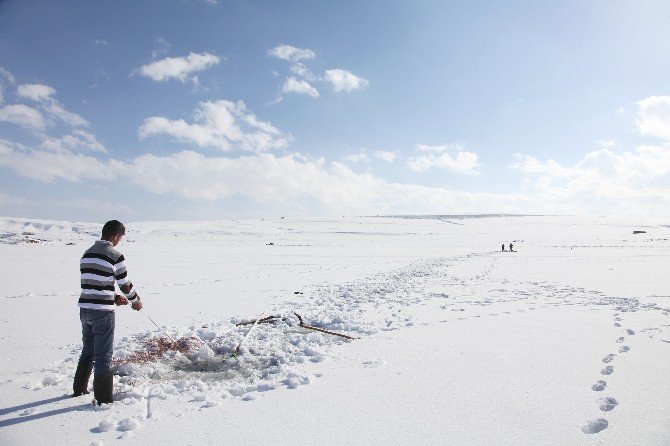 Buz Kaplı Gölde ‘Eskimo’ Usulü Balık Avı