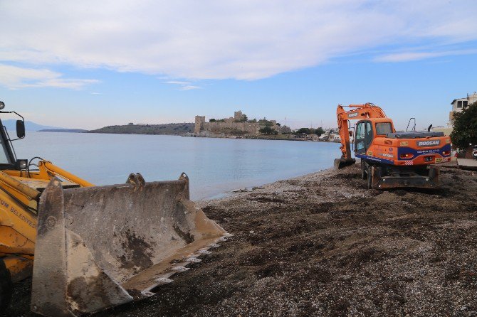 Bodrum’da Sahiller Temizleniyor