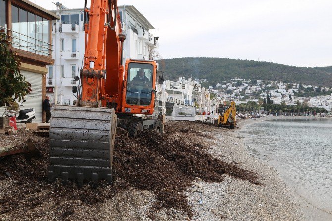 Bodrum’da Sahiller Temizleniyor