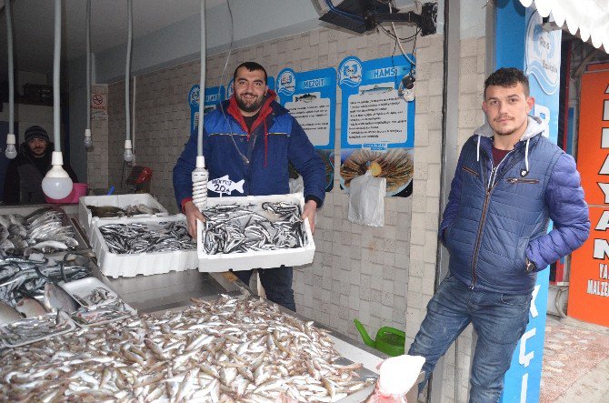 Ordu’da Hamsi 20 Lira