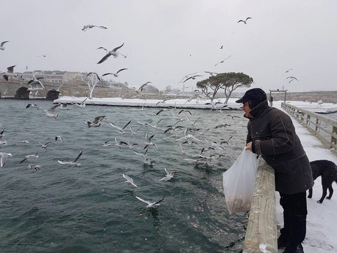 Büyükçekmece’nin Sokak Hayvanları Aç Kalmadı