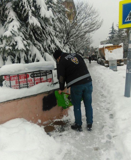 Zırhlı Araçlarla Devriye Atan Polis Sokak Hayvanlarını Unutmadı