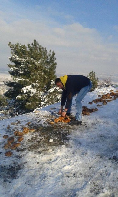 Şehzadeler Sokak Hayvanlarını Unutmadı