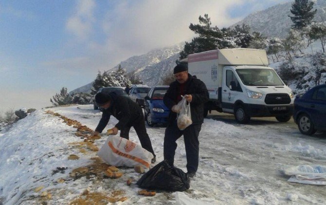 Şehzadeler Sokak Hayvanlarını Unutmadı