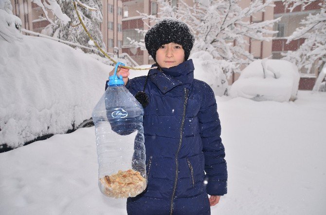 Plastik Şişeleri Değerlendirdi, Kuşlara Yemlik Yapıp Ağaçlara Astı.