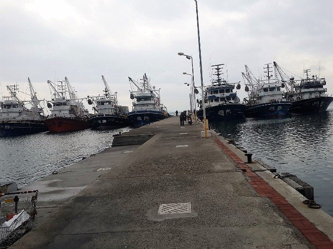 Balıkçı Gemileri Poyraz Nedeniyle Edremit’e Demirledi.