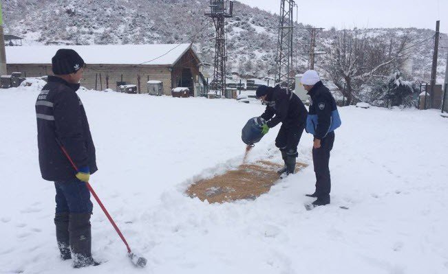 Simav’da Sokak Hayvanları İçin Yem Bırakıldı