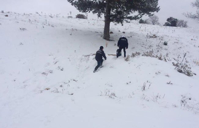 Simav’da Sokak Hayvanları İçin Yem Bırakıldı