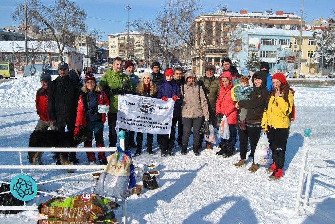 Süleymanpaşa’da Sokak Hayvanlarına Ma Dağıtıldı