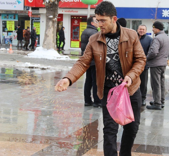 Cebindeki Son Parasıyla Güvercinleri Doyurdu