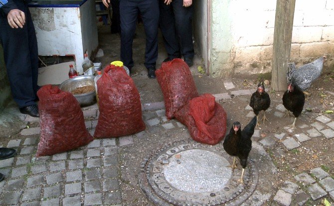 Midye Çuvalları Kümesten Çıktı