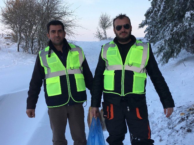 Oltacılar, Kar Altında Kalan Hayvanları Unutmadı