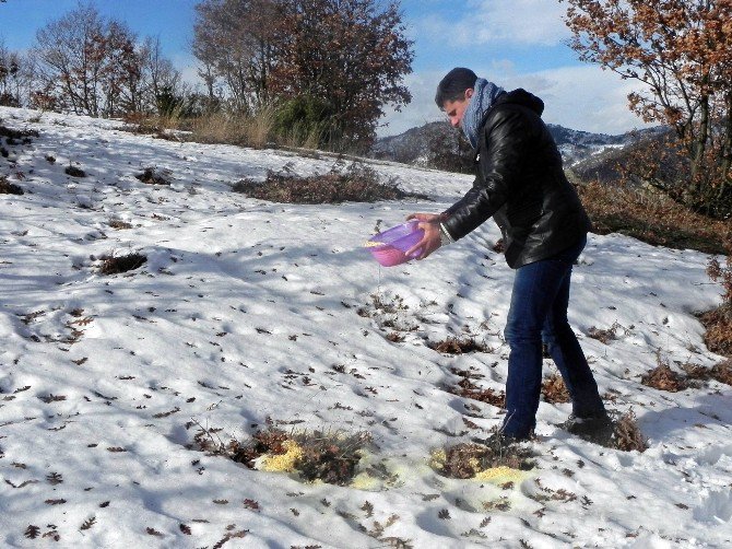 Bursa’da Doğadaki Hayvanlar Unutulmadı