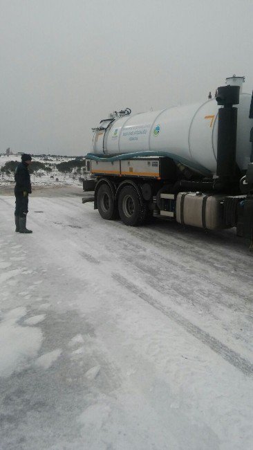 Ayvalık’ta Hummalı Kar Temizliği Yeniden Başladı