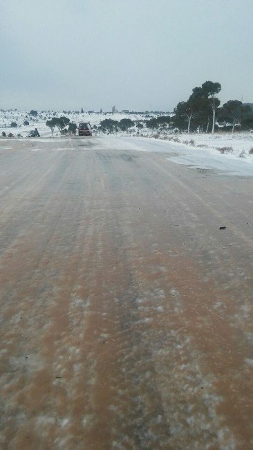 Ayvalık’ta Hummalı Kar Temizliği Yeniden Başladı