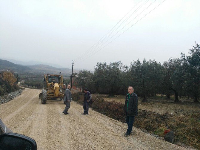 Alifakı Yolunda Hummalı Çalışma