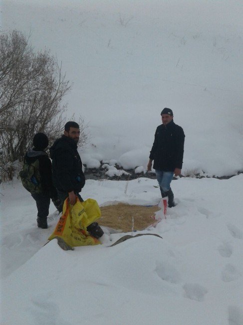 Malazgirt’te Doğaya Yem Bırakıldı