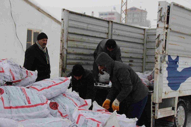 Varto’da Kömür Dağıtımı