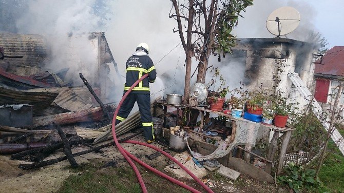 Ordu İtfaiyesi Boş Durmadı