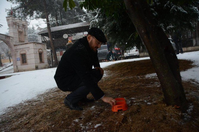 Niksar’da Aç Kalan Hayvanlar İçin Doğaya Yiyecek Bırakıldı