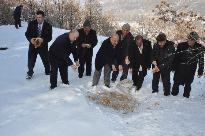 Bayat Belediyesi’nden Doğaya Yem