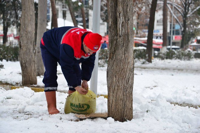 Erbaa Belediyesi Sokak Hayvanları İçin Yiyecek Bıraktı