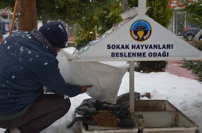 Turgutlu Belediyesi Can Dostlarını Unutmadı