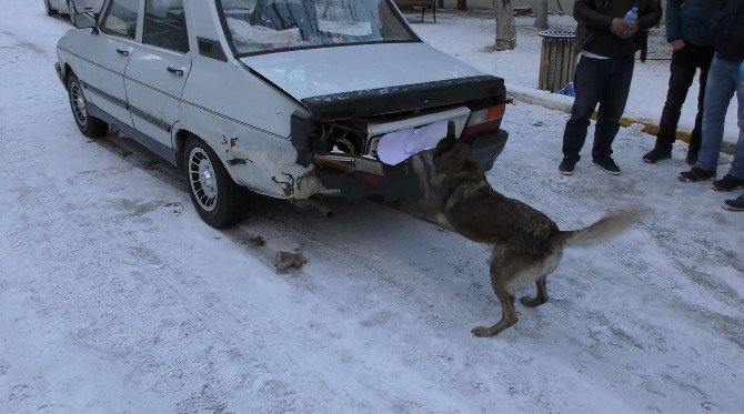 Uşak’ta 19 Kilo 540 Gram Esrar Yakalandı