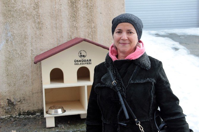 Üsküdar’da Kedi Evi Tartışması