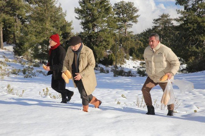 Başkan Sarıoğlu, Kuş Ve Yaban Hayvanlara Yem Bıraktı