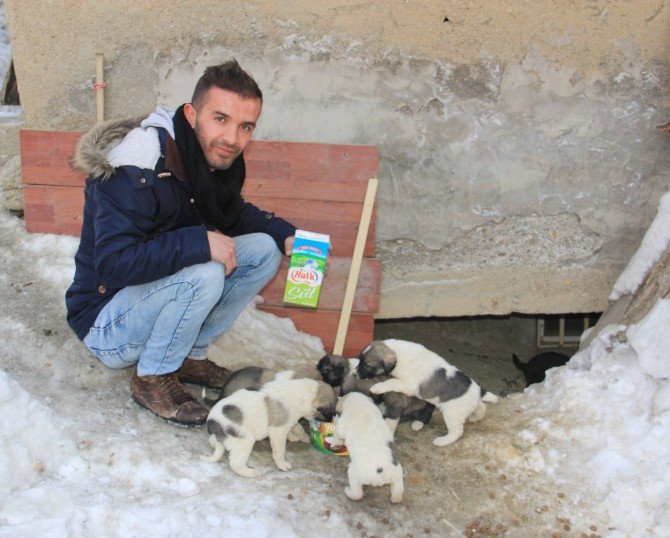 Hakkarili Gençten Örnek Davranış