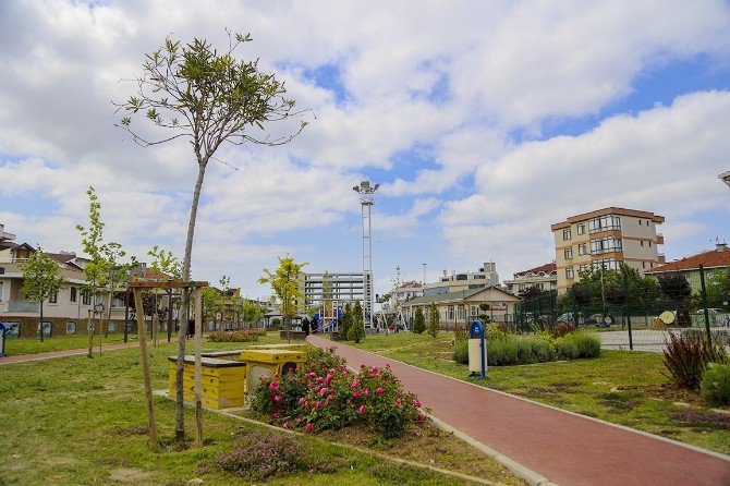 Maltepe Yeşille Buluşuyor