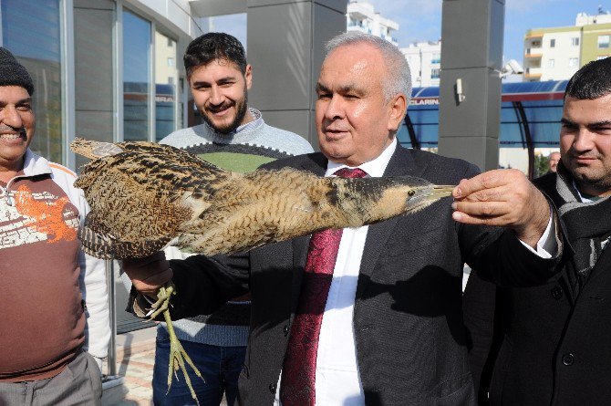 Soğuğa Dayanamayan Göçmen Kuşa Şefkat Eli