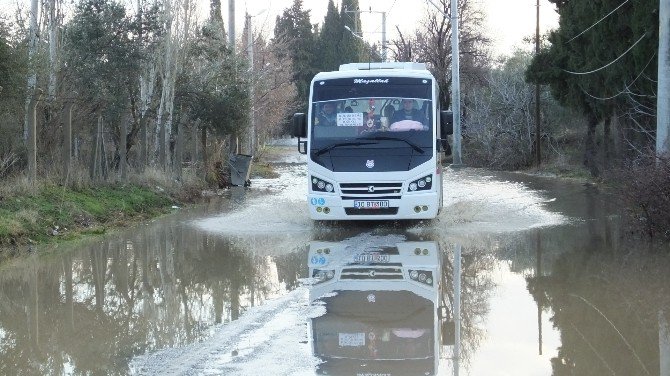 Burhaniye’de Yağmurlar Zeytine İlaç Olurken, Trafiği Aksattı