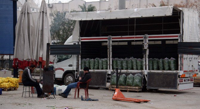 Antalya’daki Soğuk Hava Türkiye Pazarını Vurdu