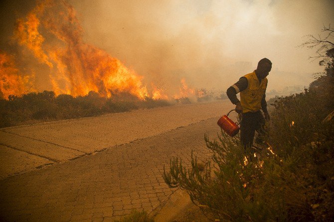 Güney Afrika’da Ümit Burnu’ndaki Yangın Söndürülemiyor