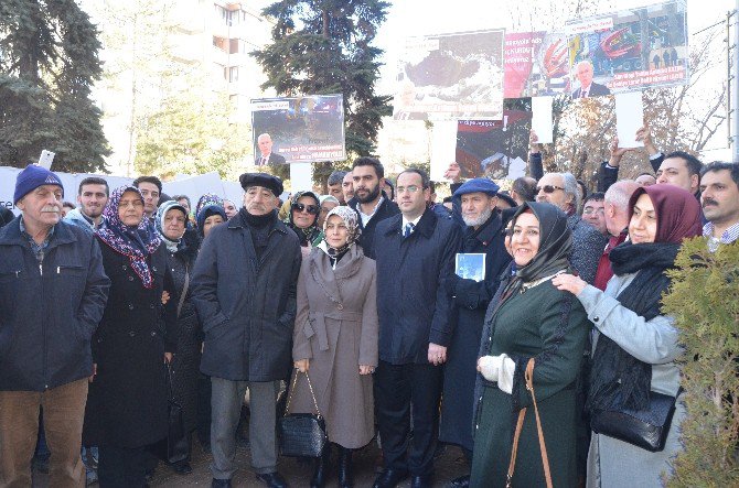 Odunpazarı’nda Asırlık Ağaçların Katledildiği İddiası