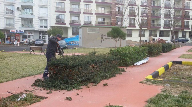 Alaşehir Belediyesi Kışlık Bakımlara Devam Ediyor