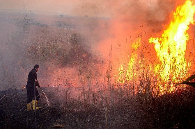 Düzce İtfaiyesi Geçen Yıl 453 Yangına Müdahale Etti