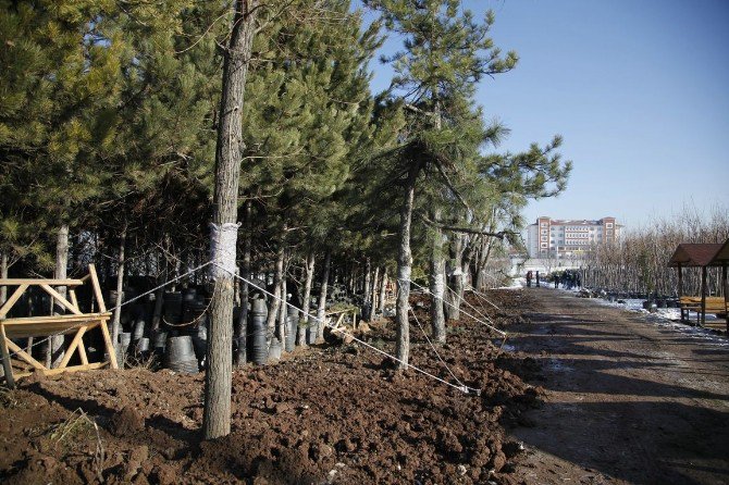 Odunpazarı Belediyesi’nden Açıklama;